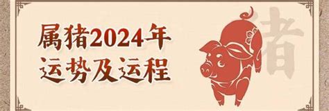 猪年2024运程|属猪人2024年全年运势运程详解